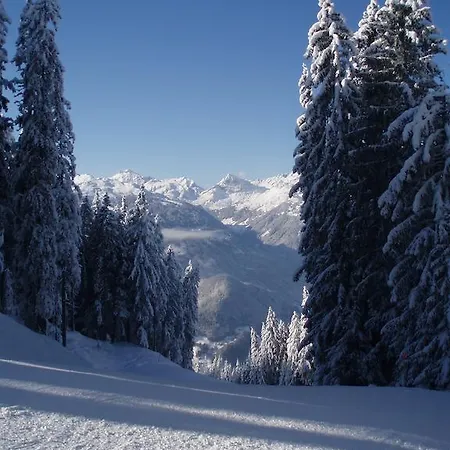 Alpenhaus Waldberg